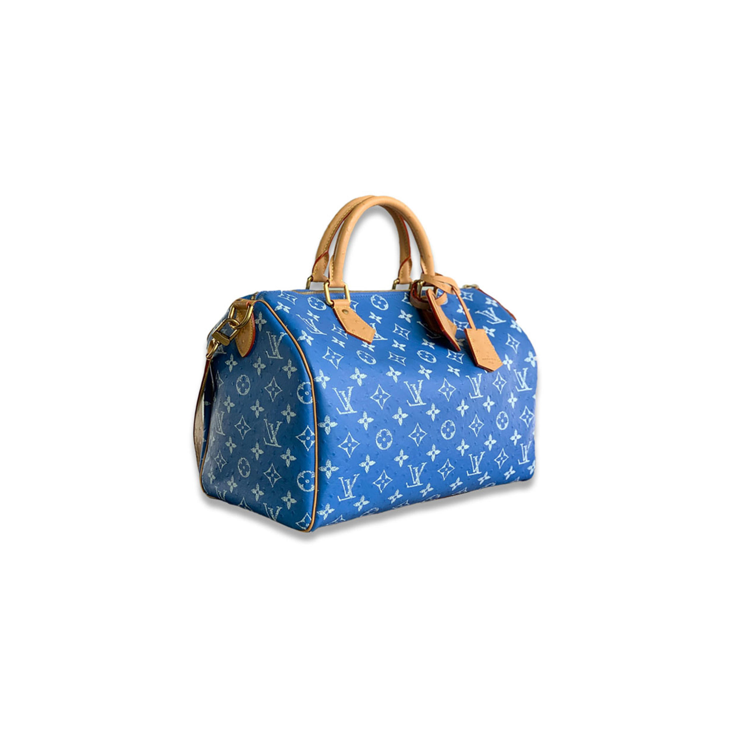 l0vis Vvtt0n master speedy p9 bandouliere 40 n88228 (40*26*23cm)